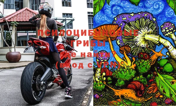 трава Хадыженск