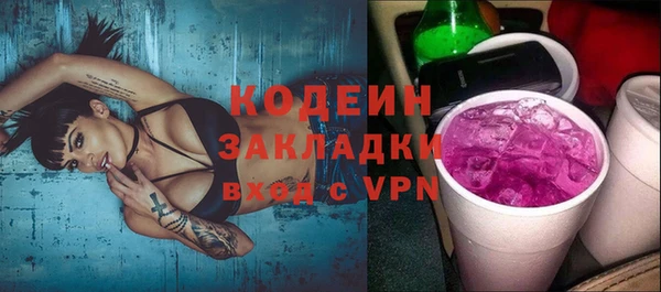 шишки Киренск