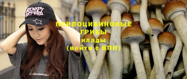 шишки Киренск
